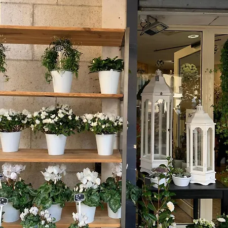 Cocon Chic Au Coeur De La Апартаменты Ницца