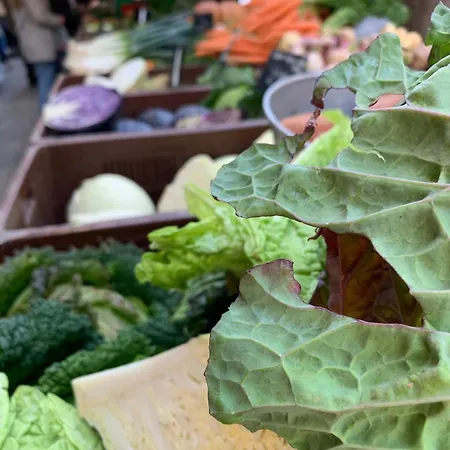 Апартаменты Cocon Chic Au Coeur De La Ницца