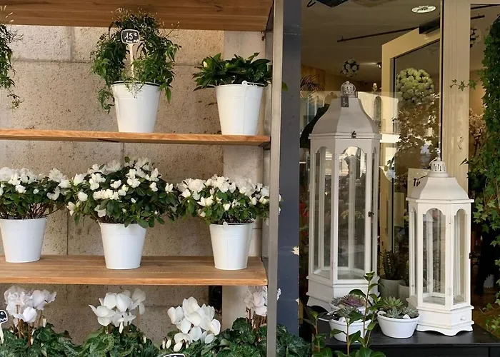 Cocon Chic Au Coeur De La Daire Nice
